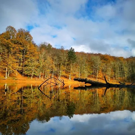 Apartment Casetta A Monte Sant'a