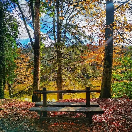 Διαμέρισμα Casetta A Monte Sant'a *